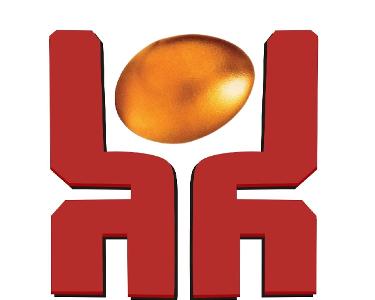 河南鼎越企業(yè)管理咨詢 專業(yè)商務咨詢，助力企業(yè)卓越發(fā)展